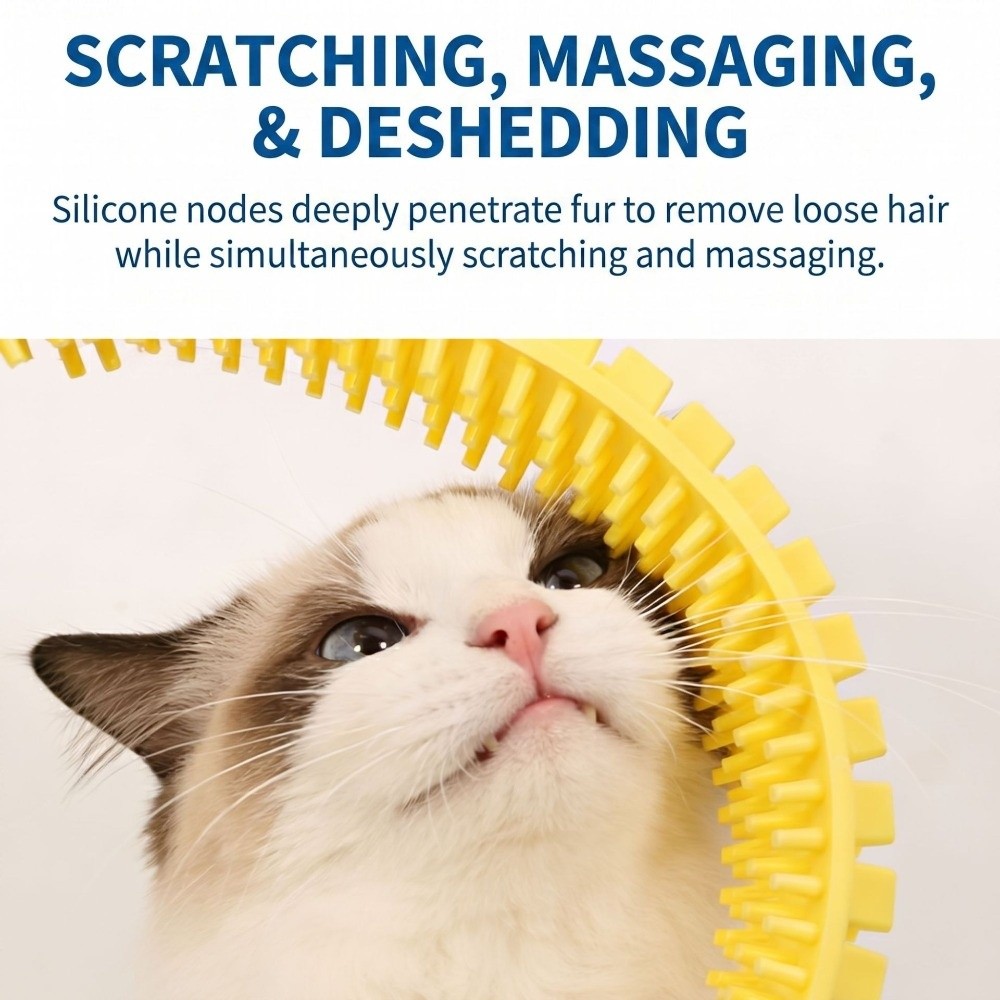 Plastic Cat Tunnel Brush Hair  - House Hair Care recension och pris