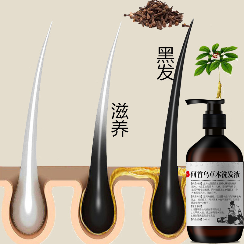 300ml Polygonum multiflorum sh - Hair Care Herbal recension och pris